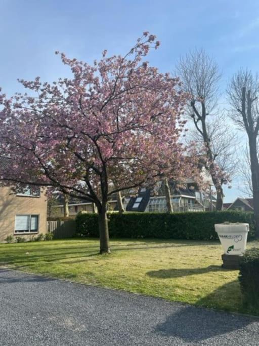 Holidayhome Zonnestraal 9P Amsterdam And The Beach هيرهيُخوفاتْ المظهر الخارجي الصورة