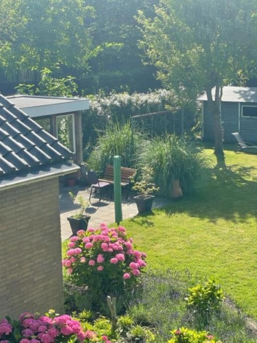 Holidayhome Zonnestraal 9P Amsterdam And The Beach هيرهيُخوفاتْ المظهر الخارجي الصورة