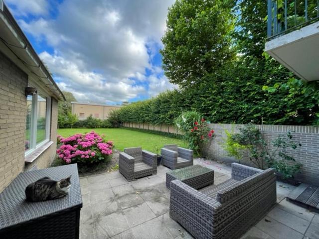 Holidayhome Zonnestraal 9P Amsterdam And The Beach هيرهيُخوفاتْ المظهر الخارجي الصورة