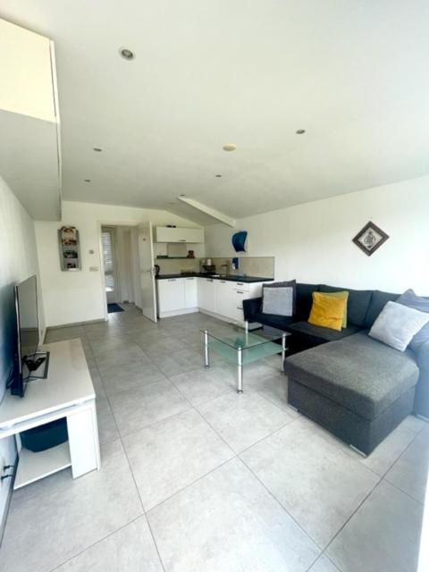 Holidayhome Zonnestraal 9P Amsterdam And The Beach هيرهيُخوفاتْ المظهر الخارجي الصورة